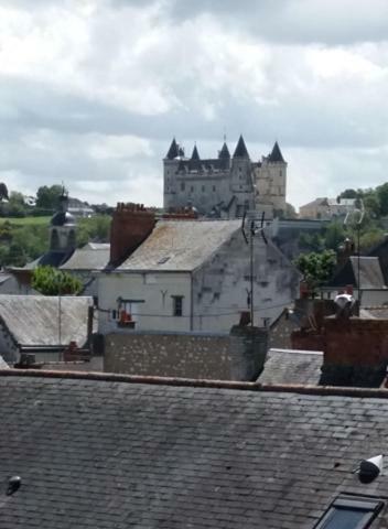 Appt 2Eme Etage Sur L'Ile De Saumur Exterior foto