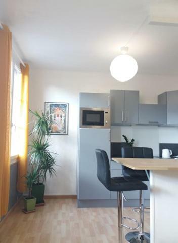 Appt 2Eme Etage Sur L'Ile De Saumur Exterior foto